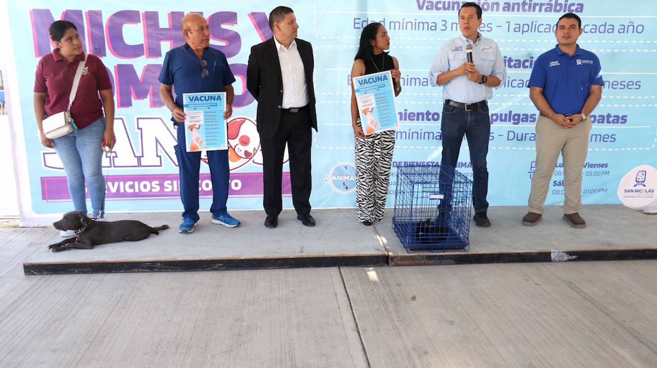 Quiere San Nicolás gatos y perros sanos; vacunará a 4 mil