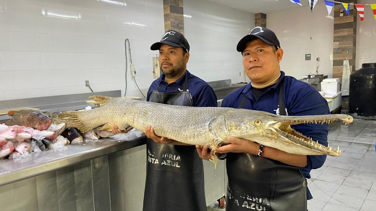 variedad_mariscos_cuaresma_5e559886ad