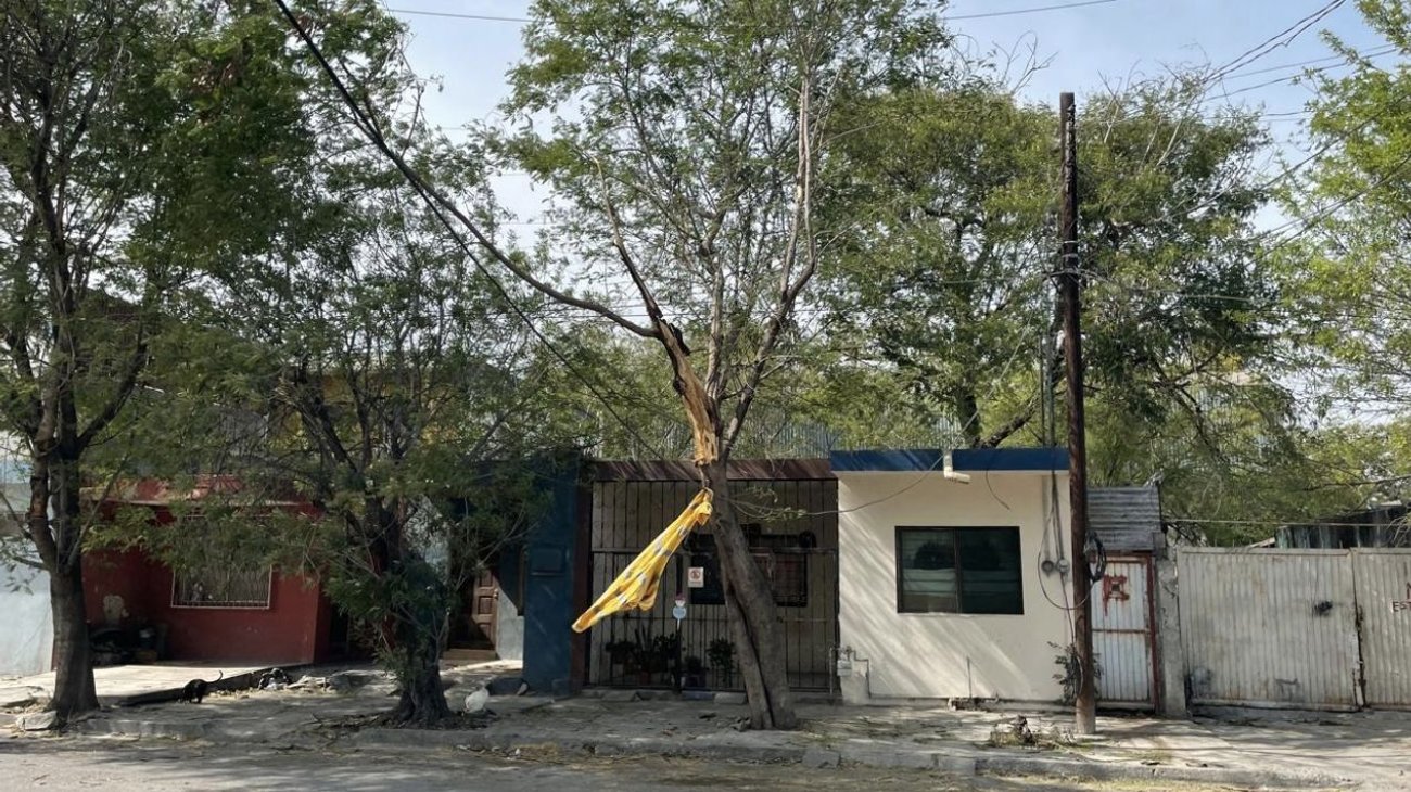 Vecinos en peligro tras árbol derribado y cables colgantes