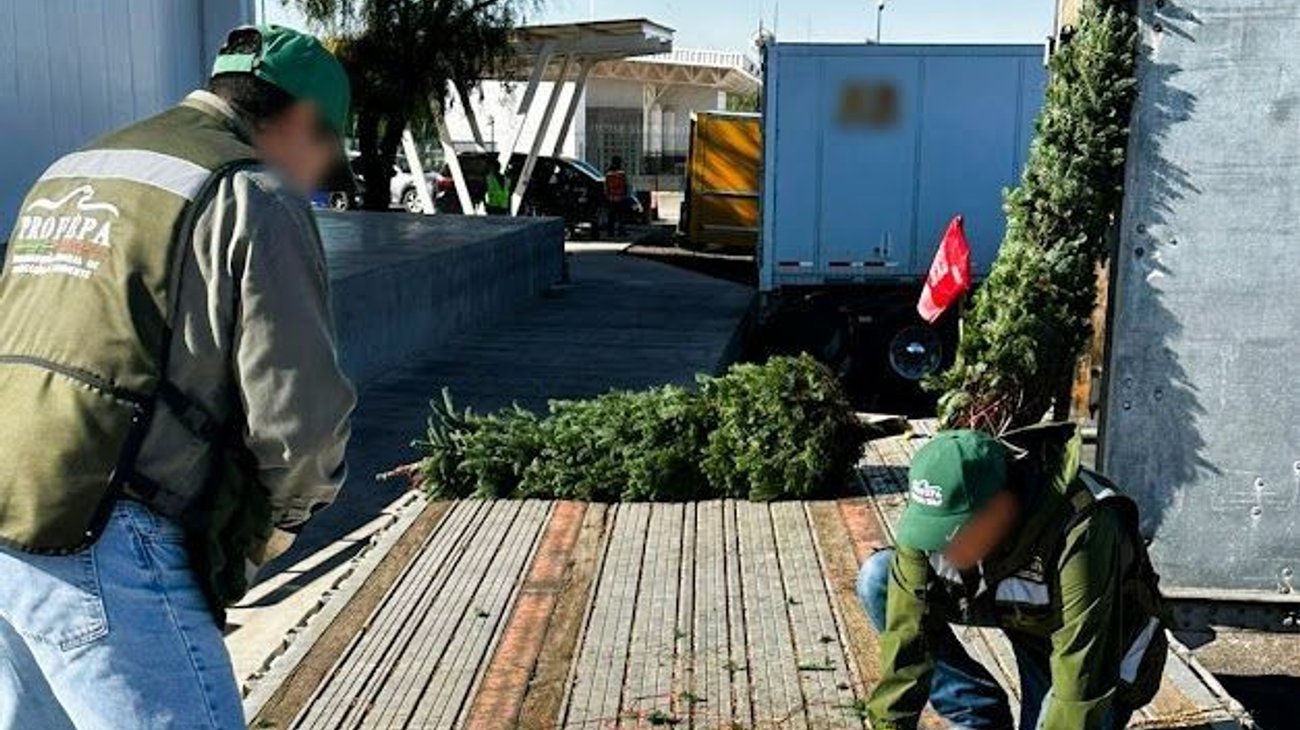 verificacion_de_bosques_importados_2c4b7f3355