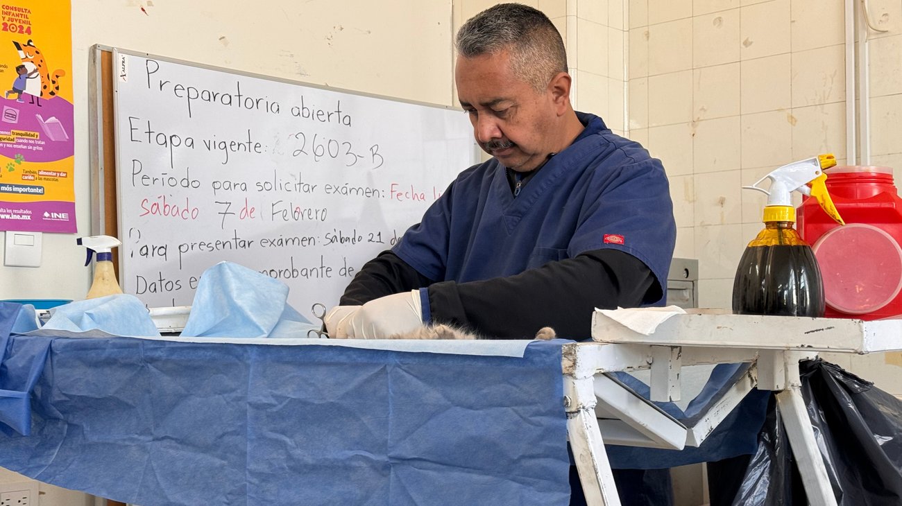 Empieza jornada de esterilización hacia mascotas en Ramos Arizpe