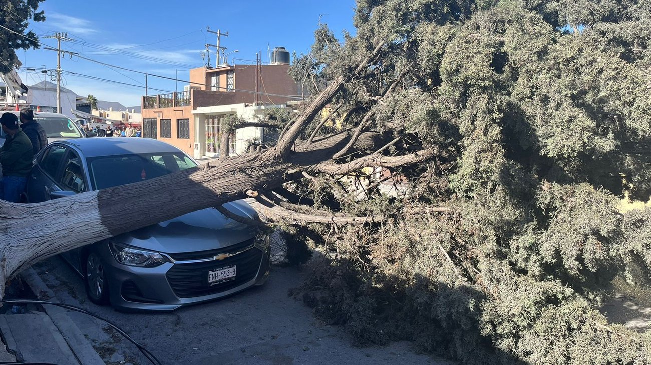 Tormenta invernal en Coahuila impactó con fuertes vientos