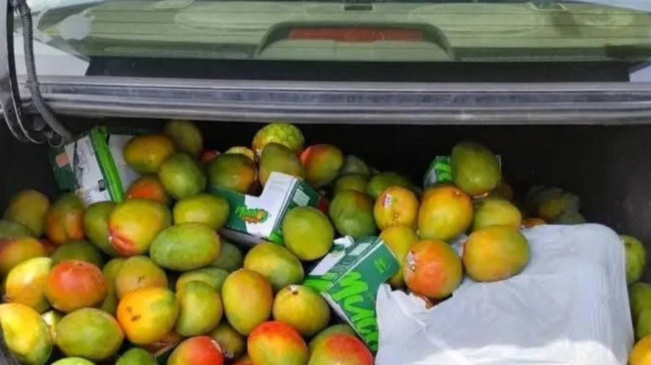volcadura_camion_mangos1_5bda7797f9