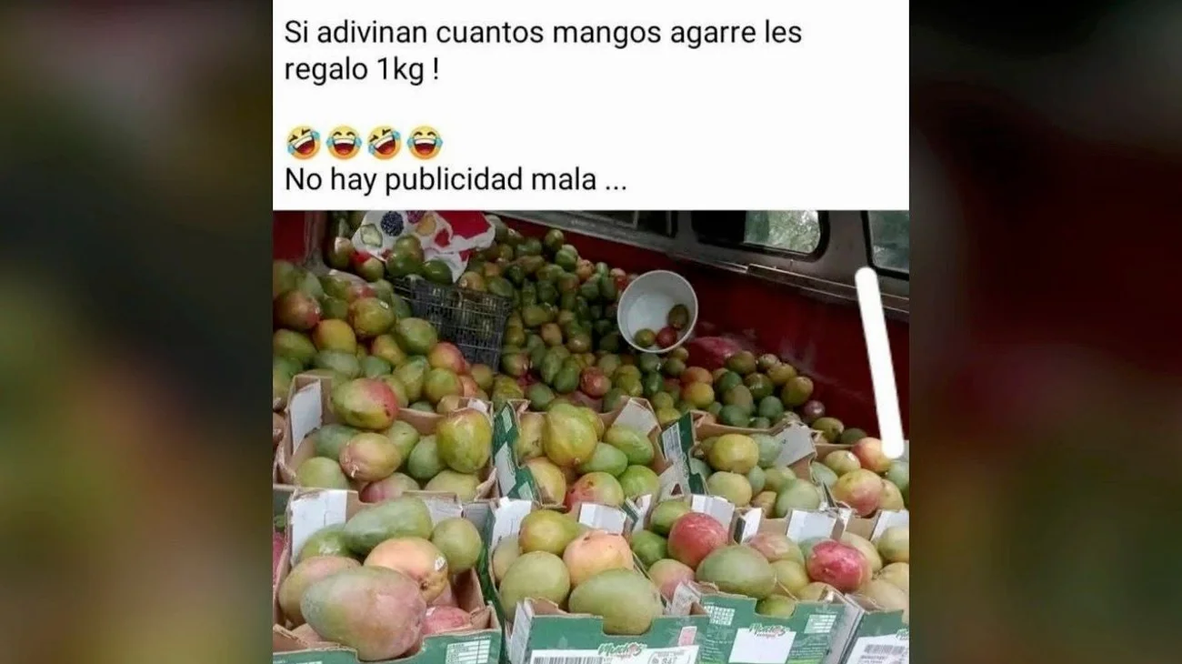 Venden en tianguis de Reynosa mangos saqueados tras volcadura