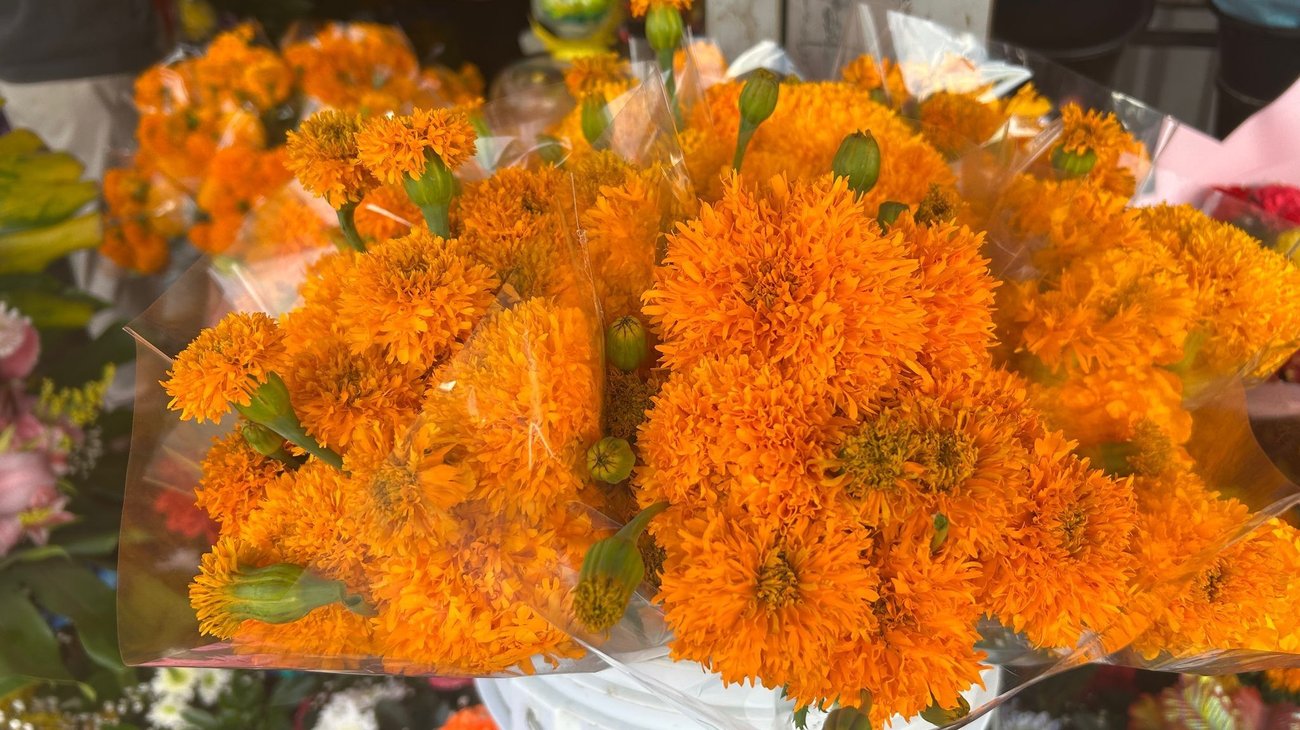 Llaman a vigilar los precios de las flores por Día de Muertos