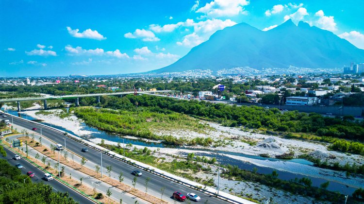 Bosques Ciudadanos convierte a NL en referente de reforestación