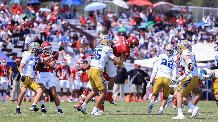 Con drama incluido, Auténticos Tigres derrota a Águilas Blancas