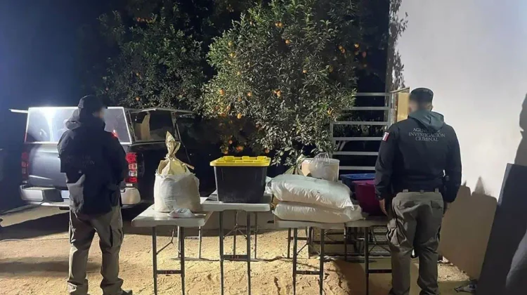 Decomisan 139 kilos de droga, entre ellos fentanilo