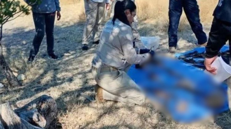 Encuentran al menos 20 cuerpos en zona serrana de Guanajuato