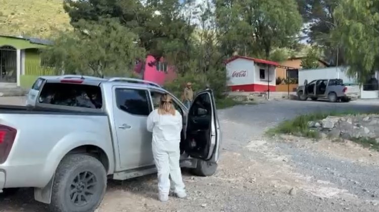 Enjambre de abejas mata a hombre en ejido de General Cepeda