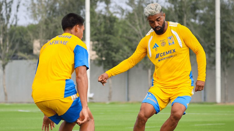 Tigres recibe a Necaxa esta noche en el Estadio Universitario