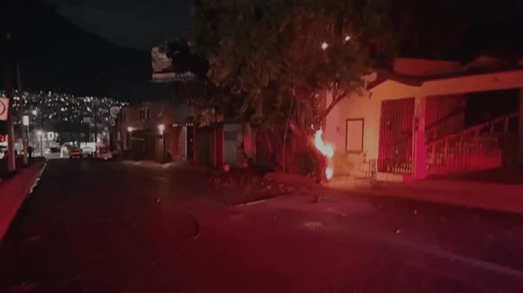 Fuertes vientos derriban árboles y postes en Nuevo León