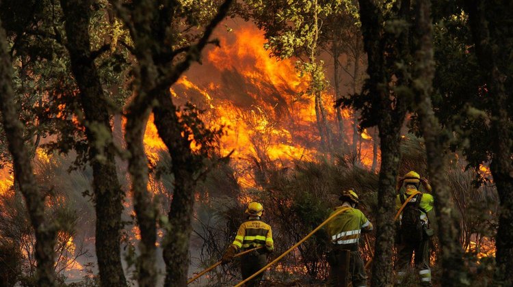 Alerta en Nuevo León por anticiclón y alto riesgo de incendios