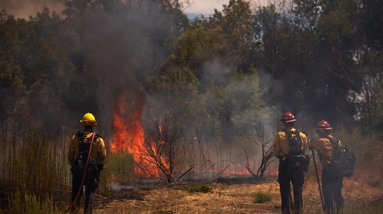 Agosto fue el tercer mes más caliente del mundo, según Copérnicus