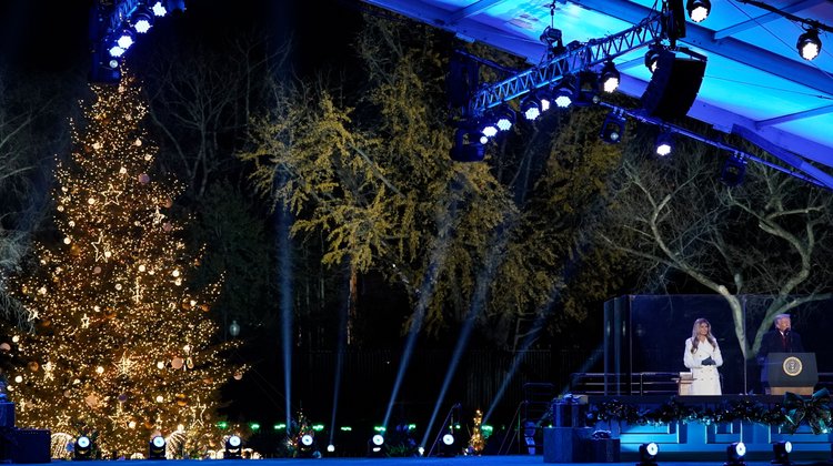 AP_25338855349710_9845a774fc