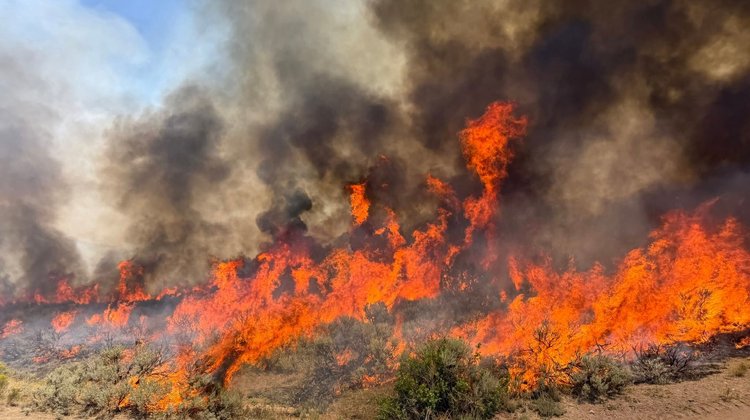 Se desploma aeronave que combatía incendio forestal en Utah