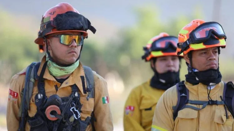 Activan Brigada Fénix ante peligro de incendios forestales