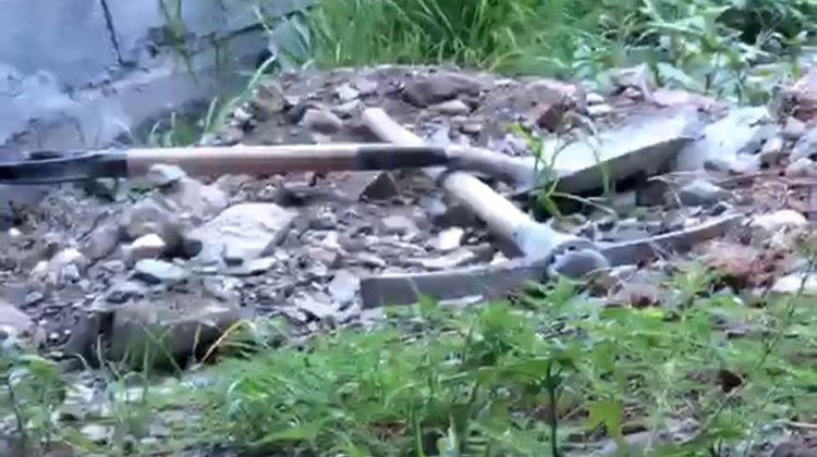 Investigan  caso de perro enterrado vivo en Saltillo