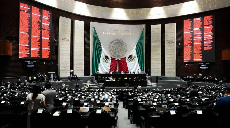 Aprueban Día Nacional del Xoloitzcuintle en México