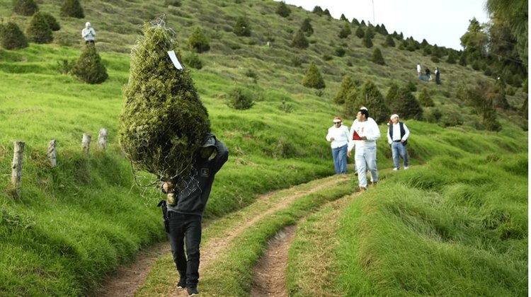 Captura_de_pantalla_2025_12_08_a_la_s_8_40_36_p_m_3ffcc542a1