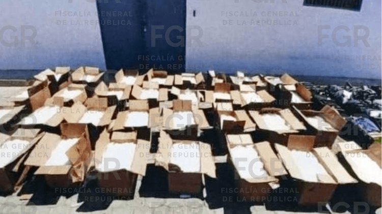 Detienen a cuatro tras aseguramiento de droga en Baja California