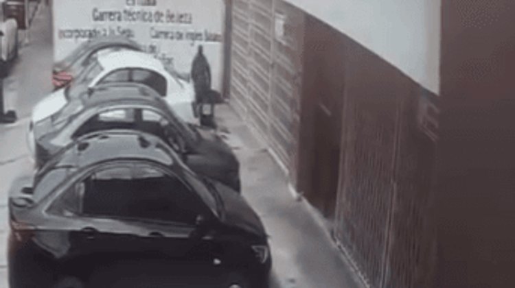 Joven reconoce agresión a cachorro captada en video en Saltillo