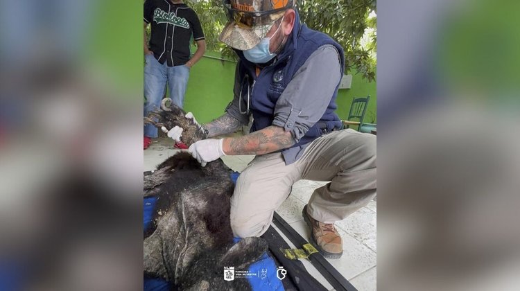 medium_Copia_de_Copy_of_PLANTILLAS_WEB_DIC_1_7b5d8c8916