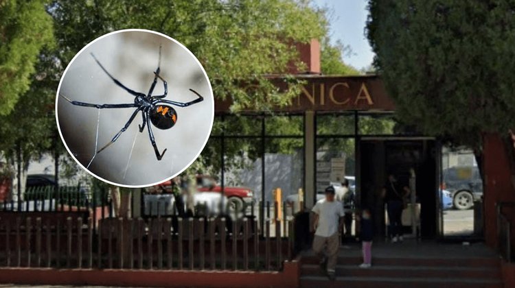 IMSS descarta que muerte de mujer fuera por falta de antídoto