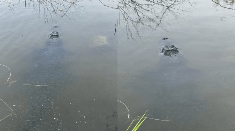 EH_DOS_FOTOS_2025_11_10_T145334_095_64ea439a9d