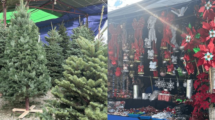 Adelantan espíritu navideño en Feria del Pino de Loma Baja