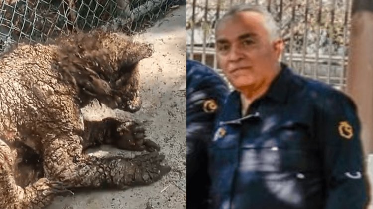 'Mina' ya tiene nuevo hogar; despiden a coordinador de La Pastora