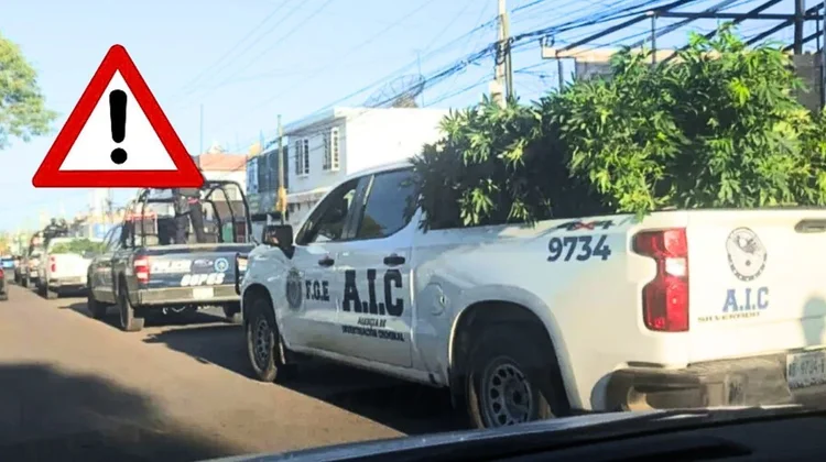 Catean invernadero de cannabis en rancho de Aguascalientes