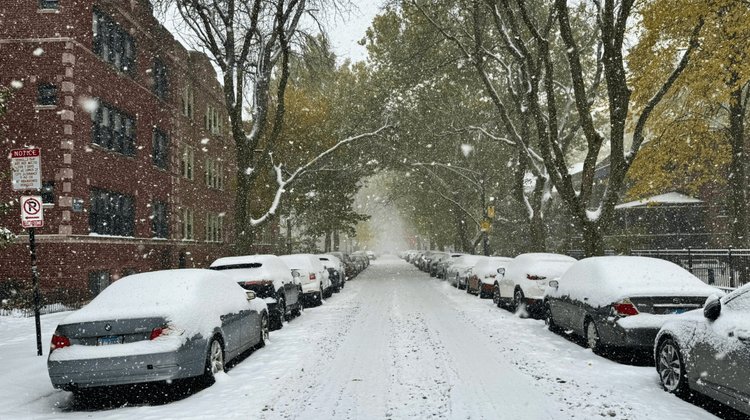 EH_UNA_FOTO_2025_11_10_T133302_111_564d141367