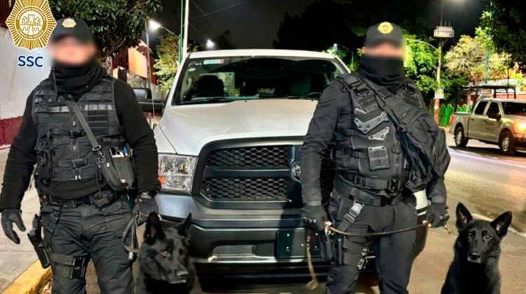 Rescatan más de 20 perros enjaulados en cateo de Ciudad de México