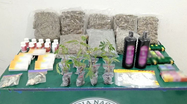 Decomisan cargamento de drogas y alucinógenos en Querétaro