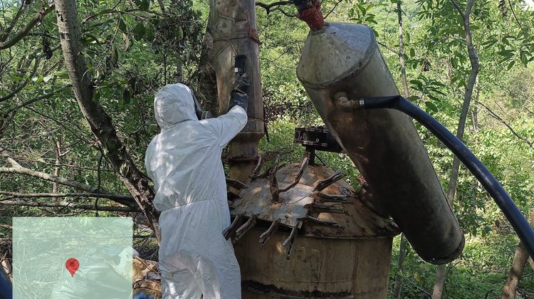 Asegura Sedena $6,000 millones de pesos en drogas en Durango