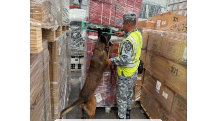 Sedena decomisa 84,000 cigarros falsificados en el AIFA