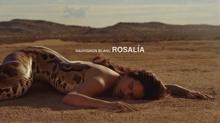 H_Avk_NK_Ya_AA_Ecm_Pp_107886841b