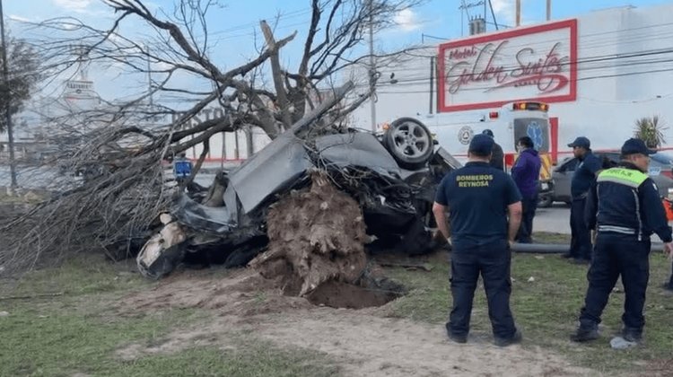 Hombre muere prensado tras impactarse contra árbol en Reynosa