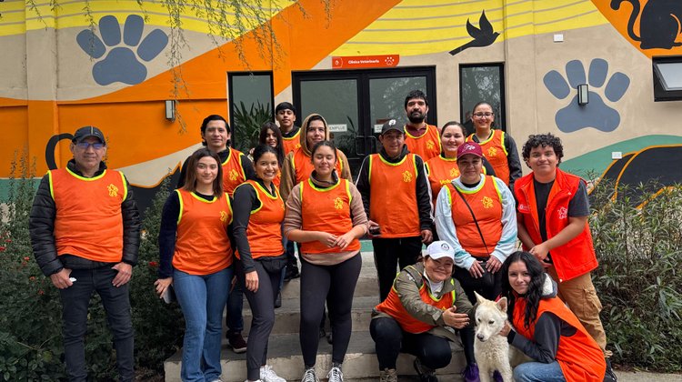 Participan en evento 'Paseo de perritos'en Guadalupe