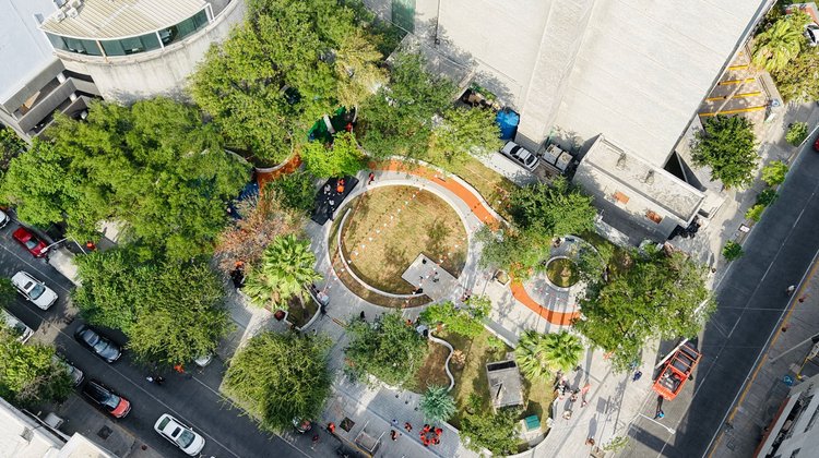 Medio Ambiente es un tema prioritario para el gobernador; Lozano