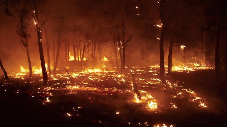 Incendio en Las Landas sigue activo pese a su estabilidad