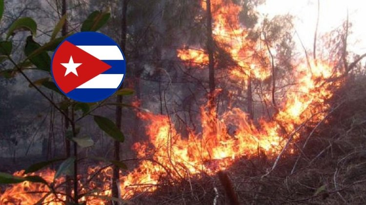 Incendios forestales en Cuba arrasan más de 600 hectáreas