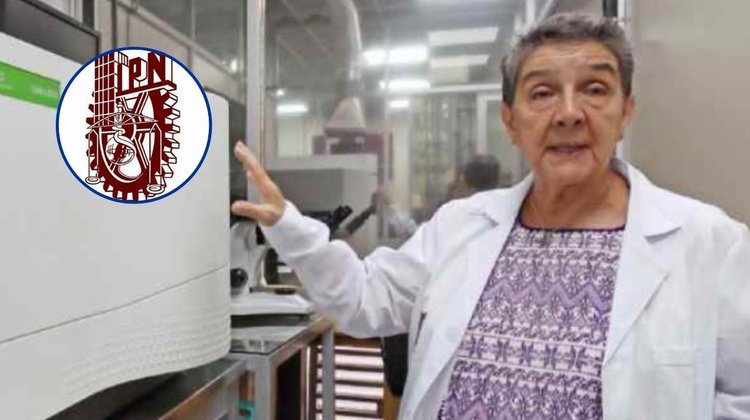 IPN instala sensores para medir gases del sargazo en Quintana Roo