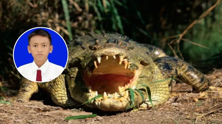 Muere adolescente tras ser atacado por un cocodrilo en Indonesia