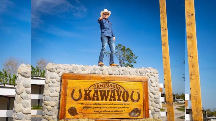 Crean en Linares 'Kawayo', refugio para caballos maltratados