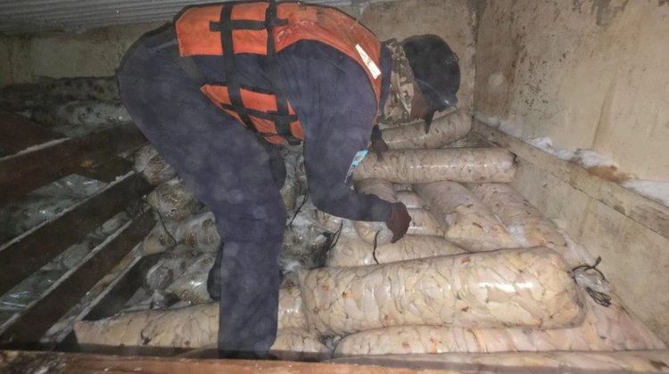 Rechazan soborno de 80 mil lempiras y aseguran mariscos