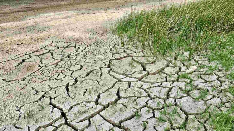Sufren sequía moderada al norte de Tamaulipas