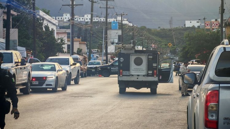Catean estética por investigación de robo de vehículos