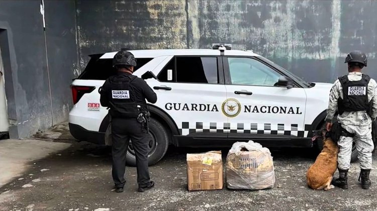 Decomisan 51 kilos de pirotecnia en negocio de Allende
